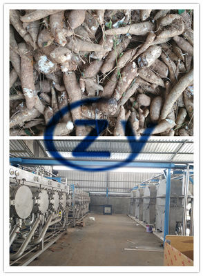 Kompletny zestaw Linia do produkcji skrobi Yam / Maszyna do produkcji skrobi z manioku