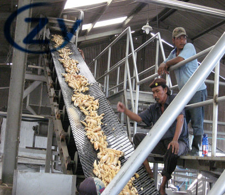 Seimens Motor Cassava Processing Machine / Bęben Rotary Peeling Washing