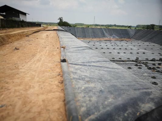 Anti Leakage 2mm HDPE Geomembrane Dam Reservoir Rolnicza wkładka do stawu